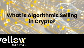 What is Algorithmic Selling in Crypto? What is Algorithmic Selling in Crypto?