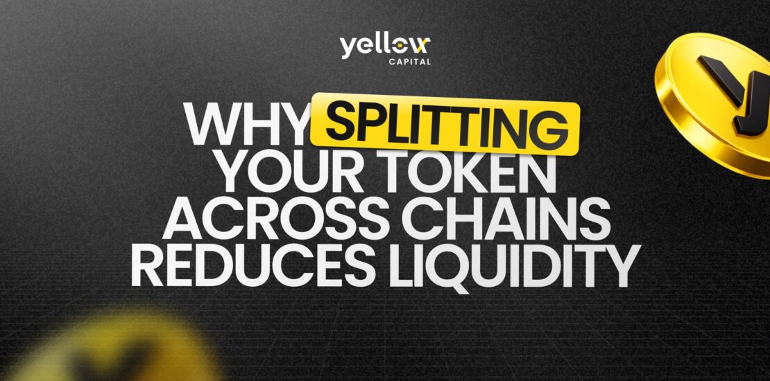 multi-chain liquidity fragmentation
